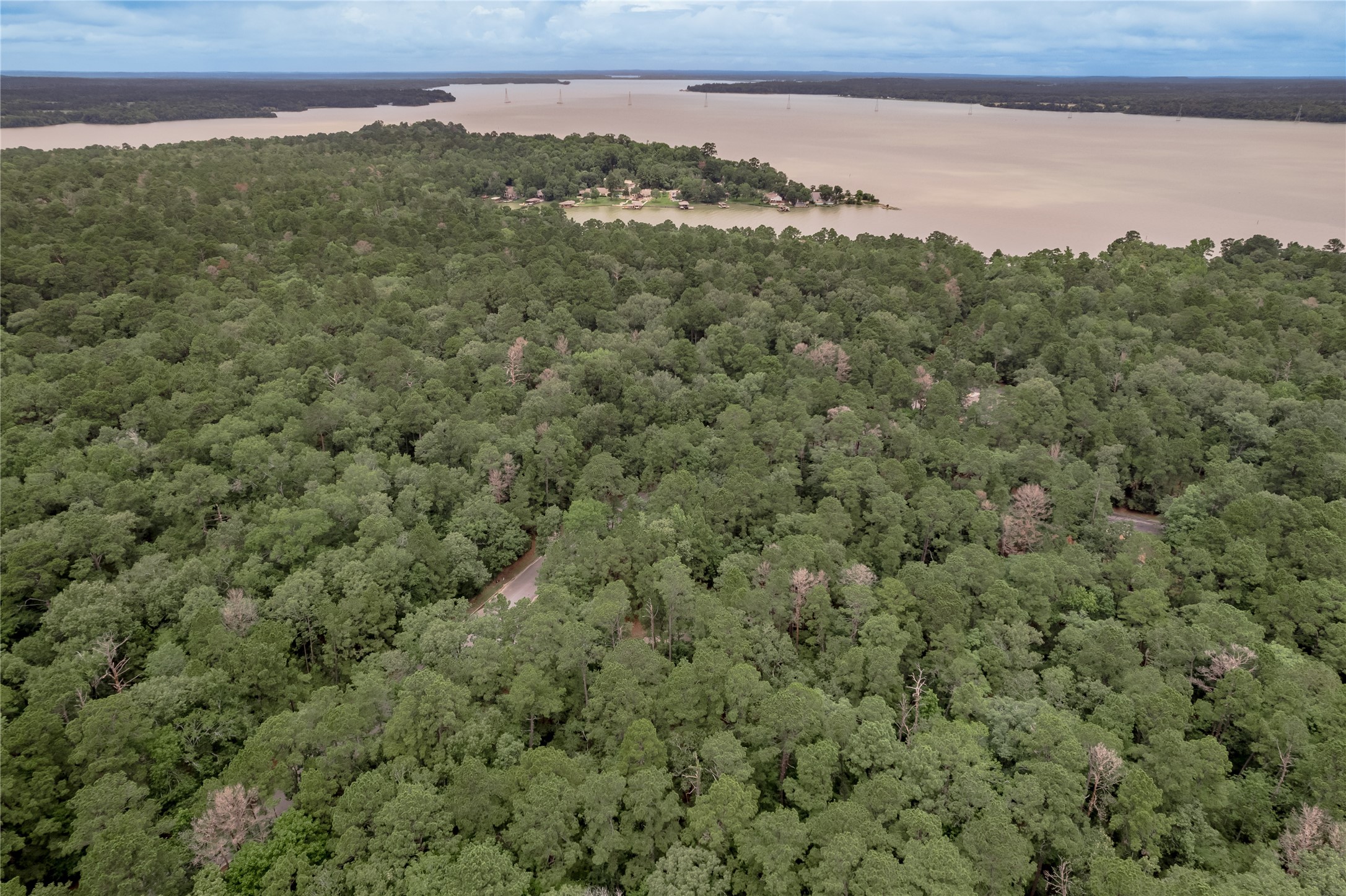 Lot 9 Rohm Place Point Blank, TX 77364 - Photo 23 of 26