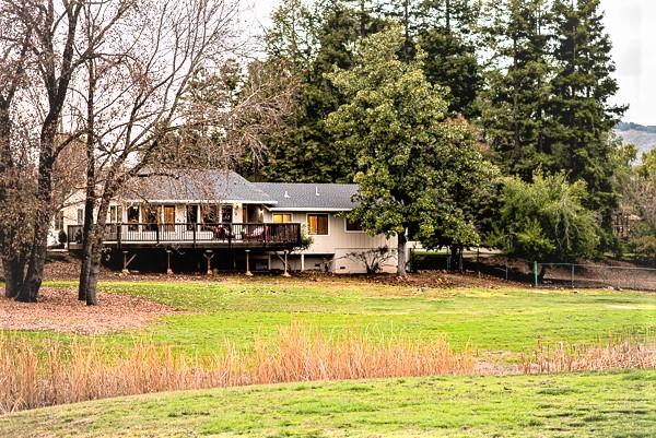 a view of a swimming pool with lawn chairs and large trees
