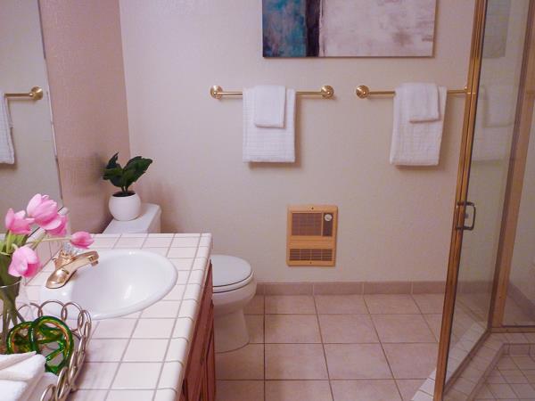 17080 Copper Hill Drive Morgan Hill, CA 95037 - Photo 31 of 38 a bathroom with a sink toilet and shower