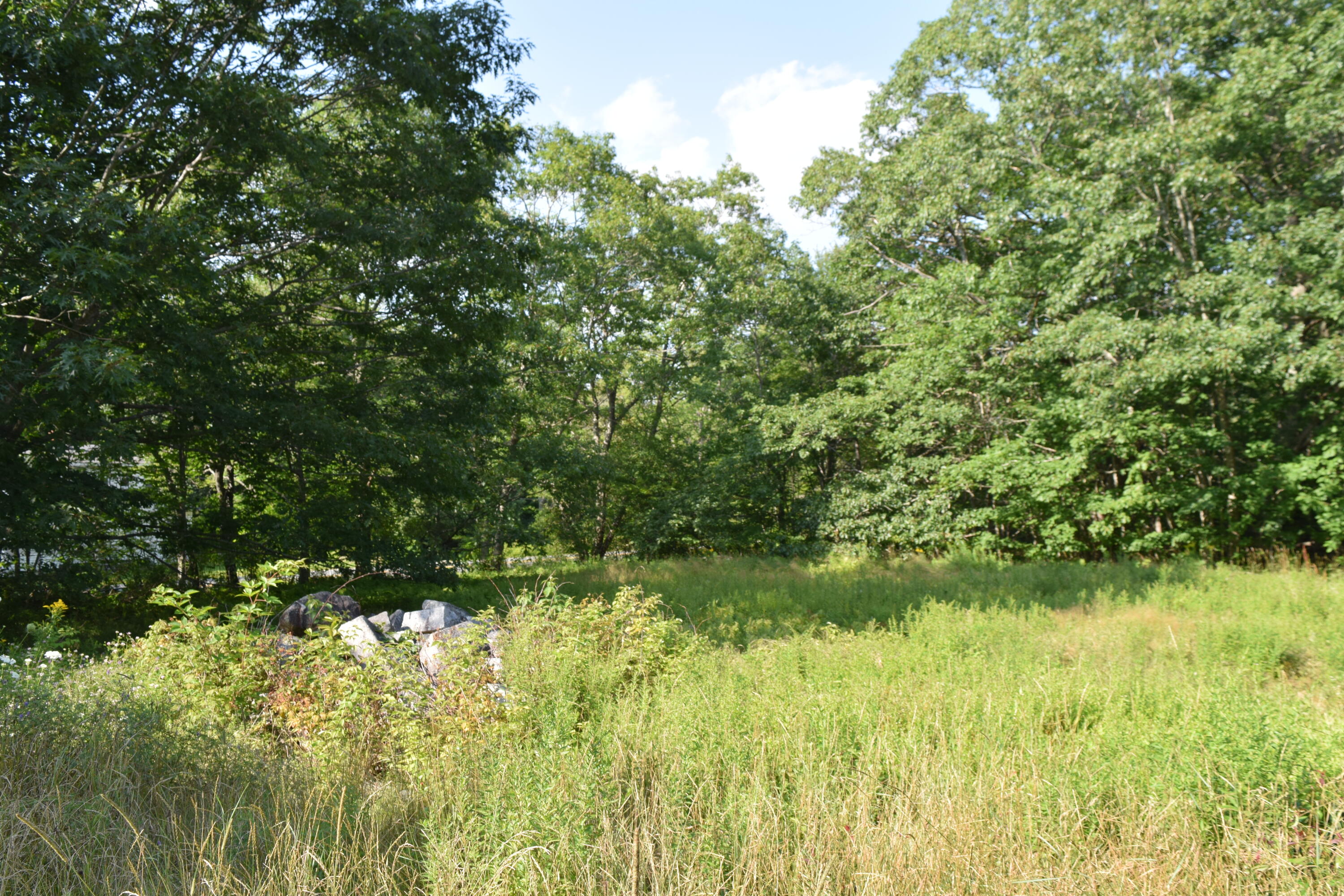 1134 Castine Road Orland, ME 04472 - Photo 5 of 11 DSC_0162