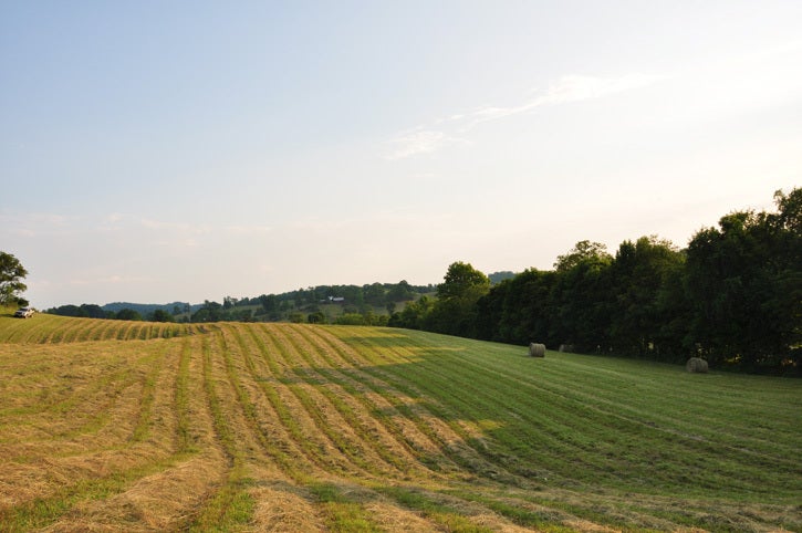 2096 Charles Boothe Road Sinks Grove, WV 24976 - Photo 47 of 52 Gallery Image 47