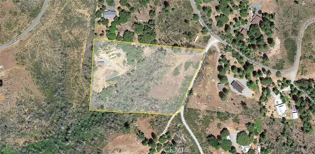 a view of a dry plant with lots of bushes