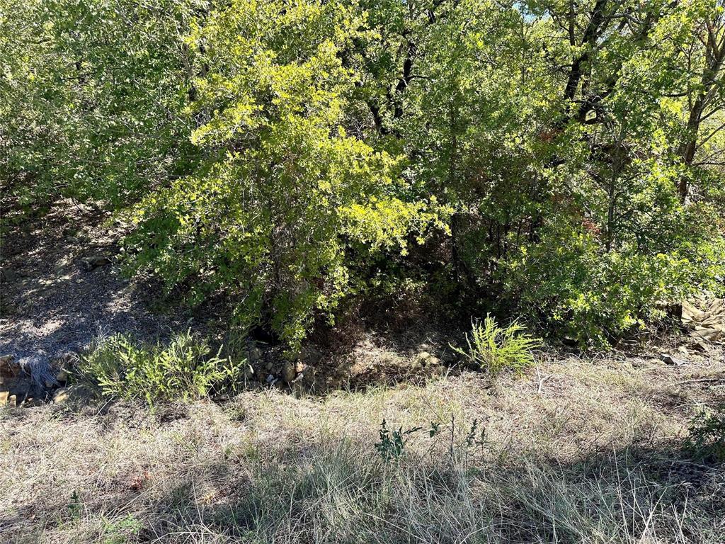 Tbd2 Ranchview Court Bowie, TX 76230 - Photo 18 of 26