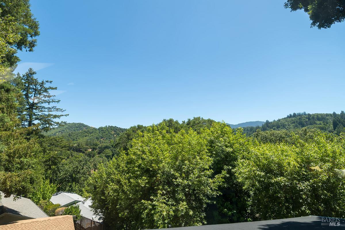 53 Madrone Road Fairfax, CA 94930 - Photo 25 of 25 Close to town but feels away from it all!