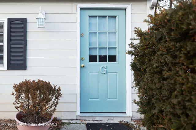 a view of a door of the house with a potted plant