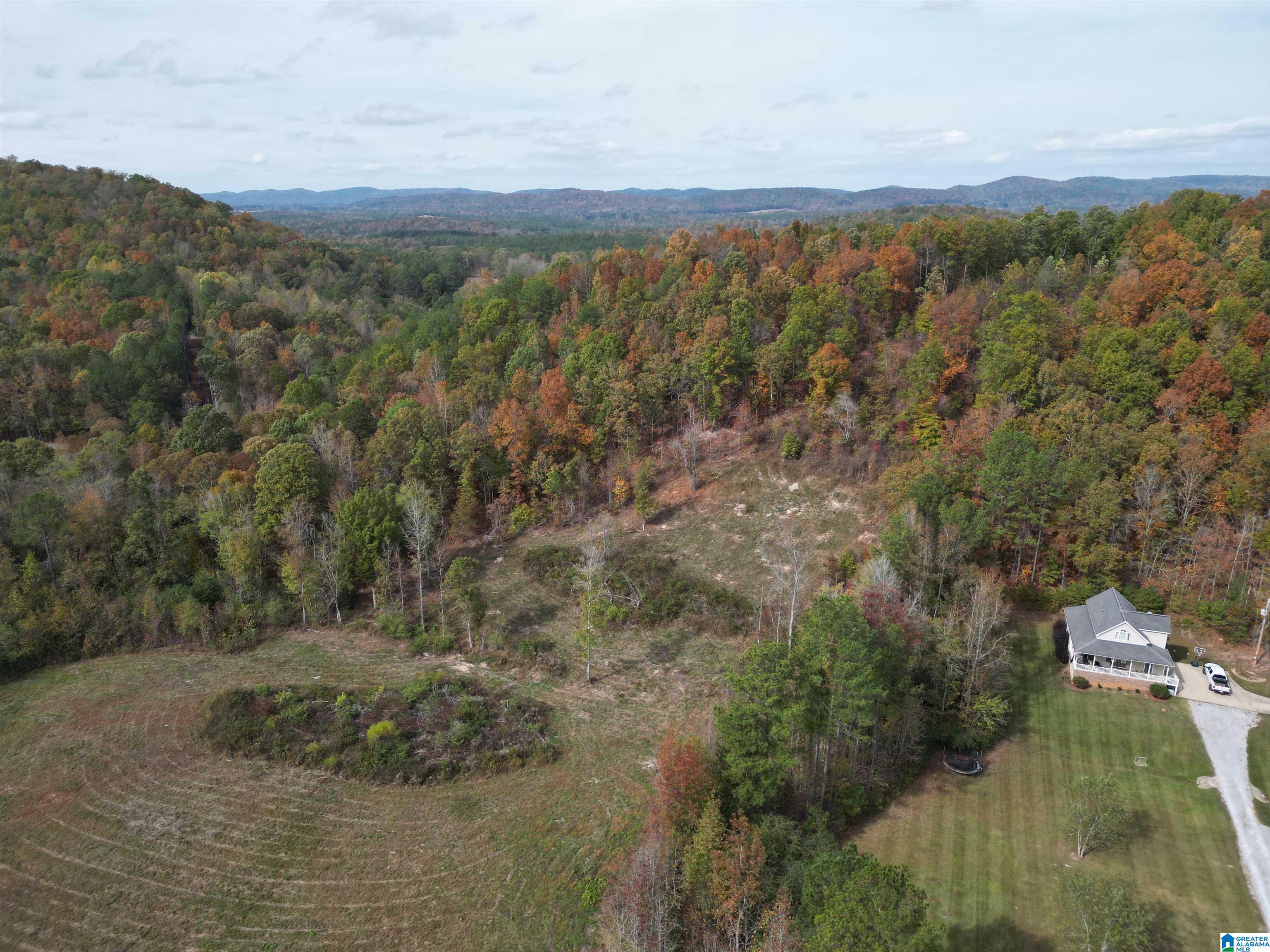 0 Mill Branch Road Jacksonville, AL 36265 - Photo 2 of 6
