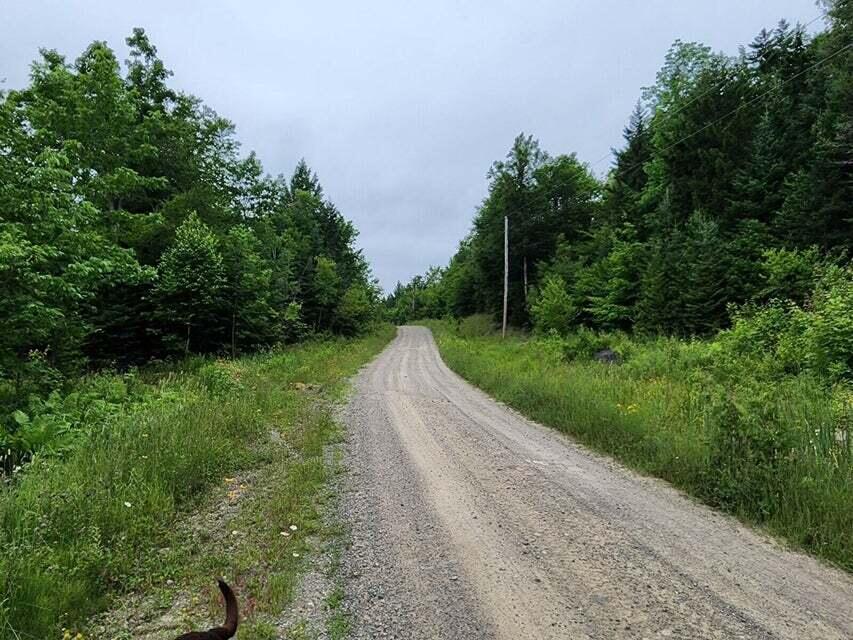Lot J Lot J Howard Lake Road Robbinston, ME 04671 - Photo 5 of 16 20230716132040620973000000-o