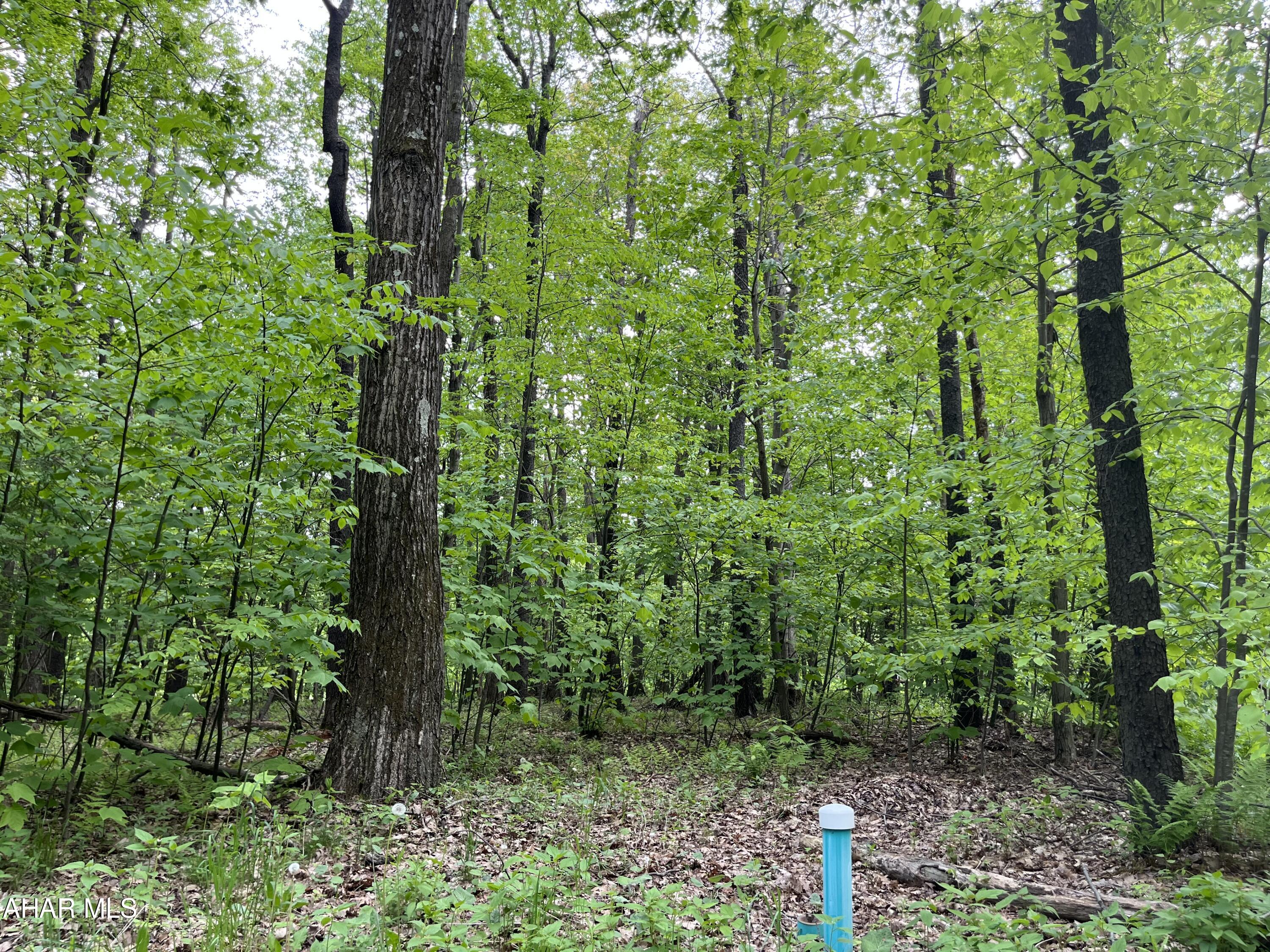 0 Ridge Run Road Claysburg, PA 16625 - Photo 1 of 24