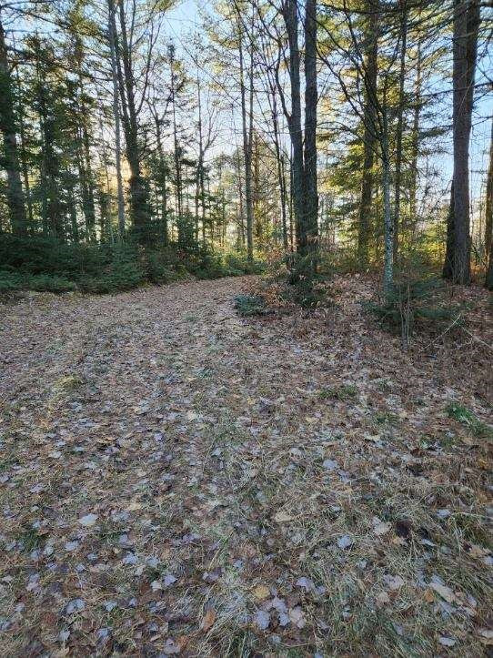 344 Meacham Road Malone, NY 12953 - Photo 11 of 11 Gallery Image 11