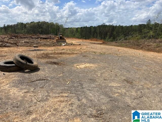 11482 Camp Oliver Road Adger, AL 35006 - Photo 40 of 48