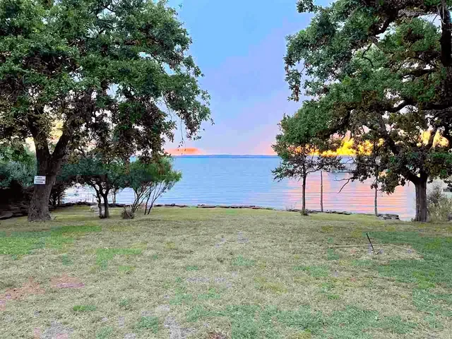 a view of a tree in front of a house