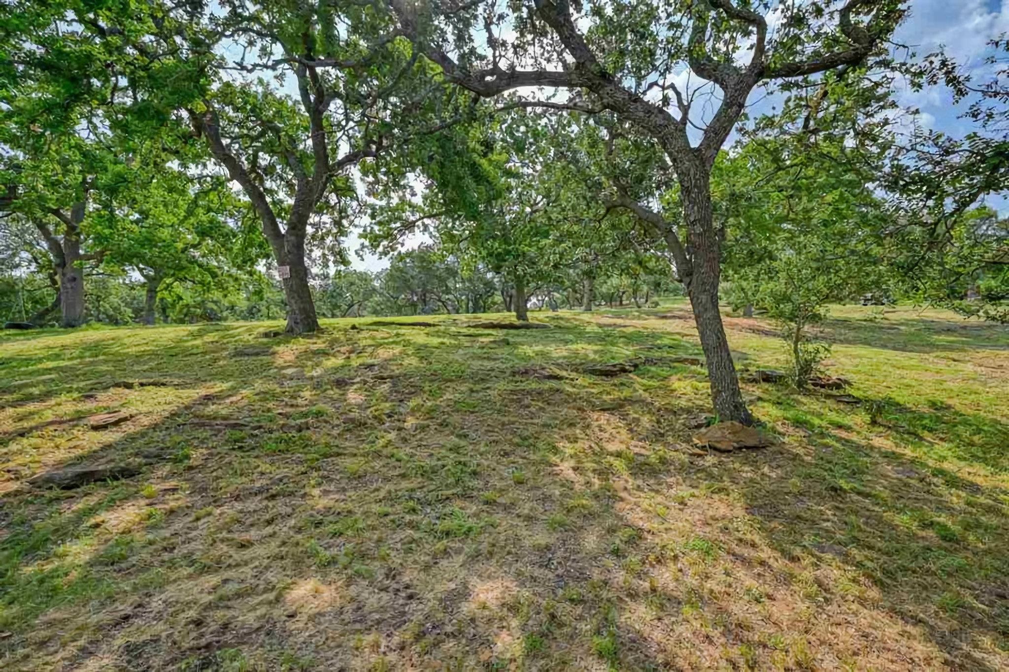 3315 Sunset Cliff Road Burnet, TX 78611 - Photo 5 of 9 a big yard with lots of green space and trees in the back