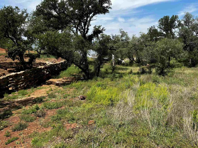 a view of outdoor space and yard