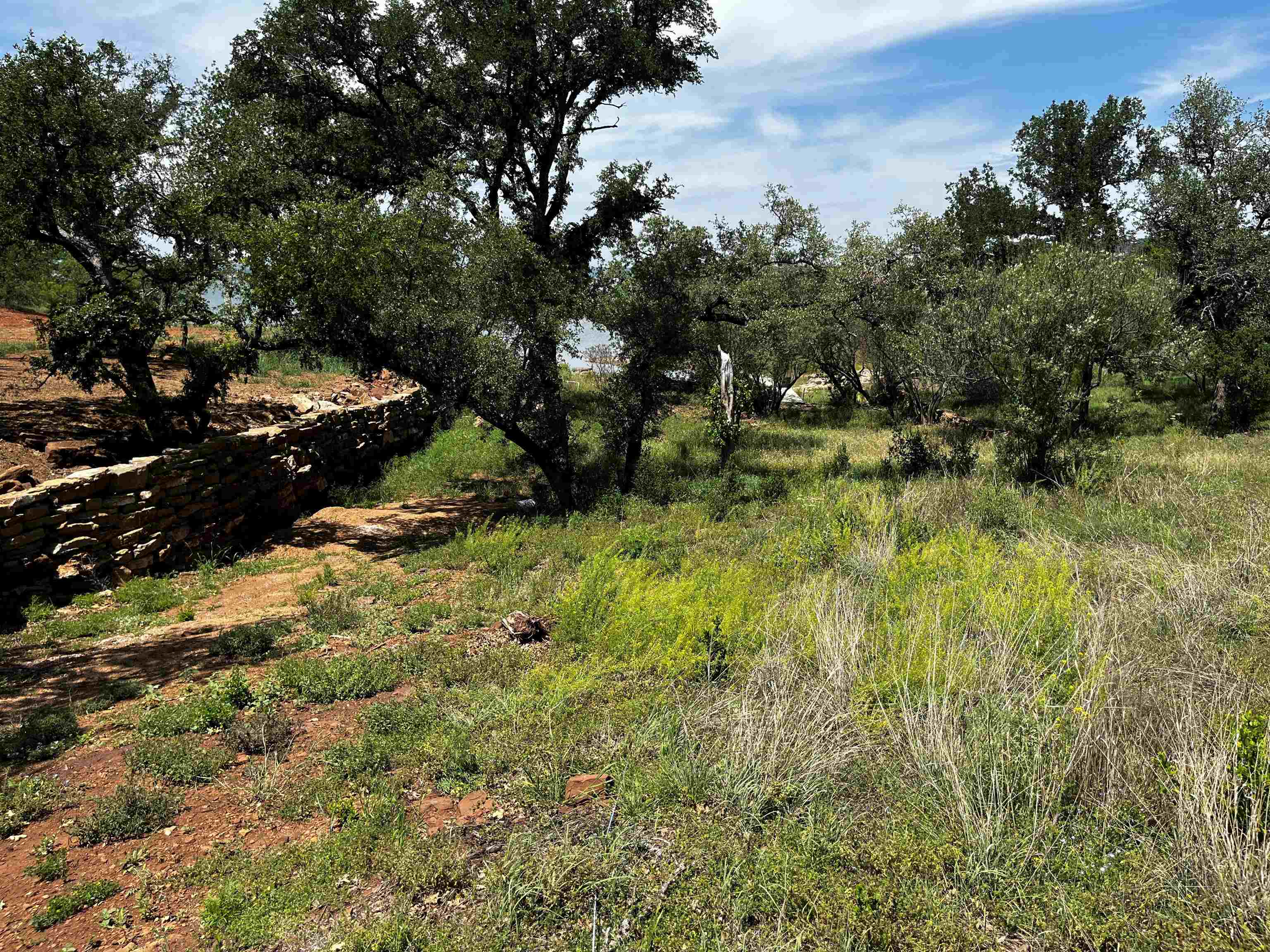 3315 Sunset Cliff Road Burnet, TX 78611 - Photo 7 of 9 a view of outdoor space and yard