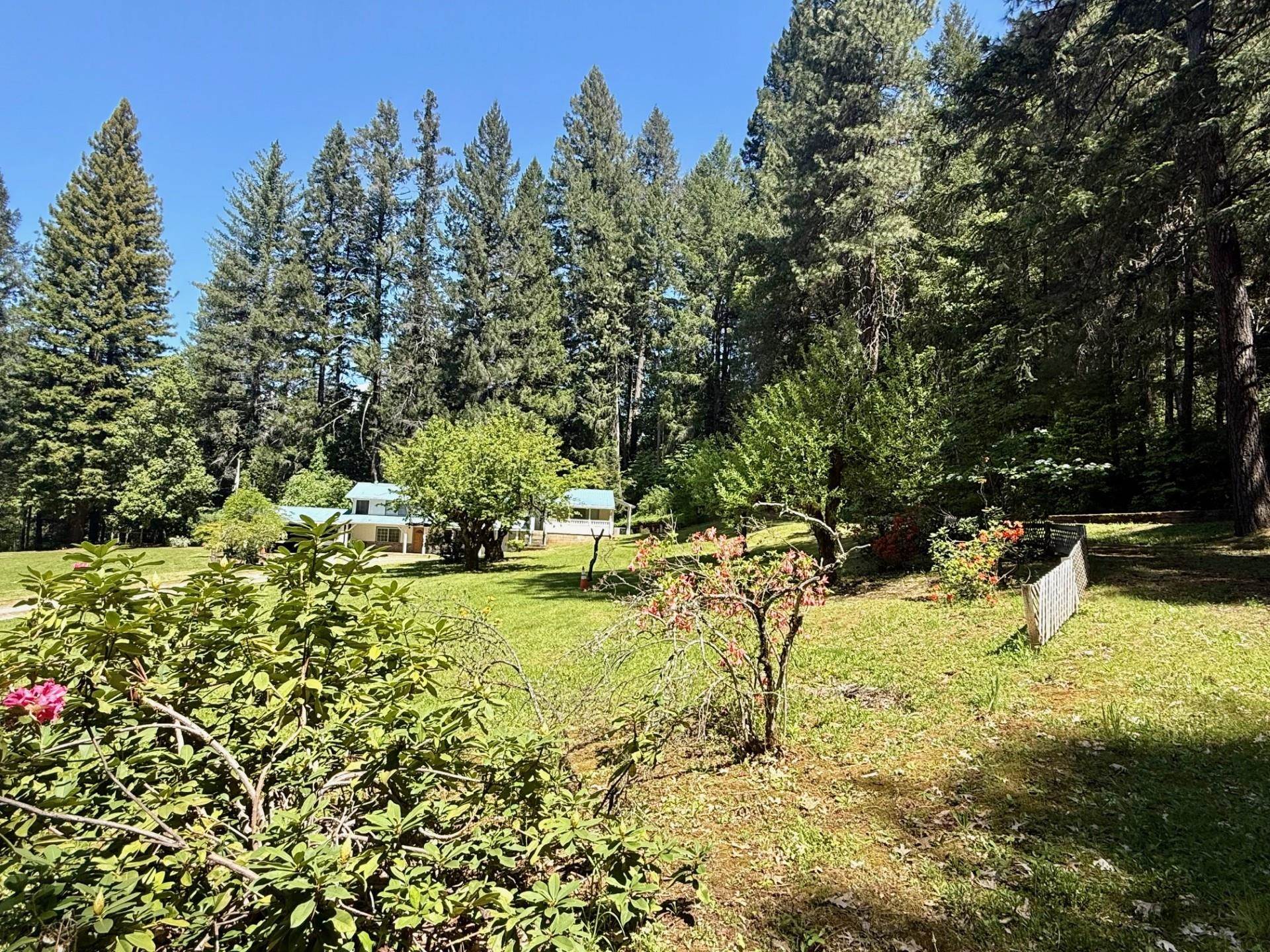 814 Curly Jack Road Happy Camp, CA 96039 - Photo 35 of 49 Gallery Image 35