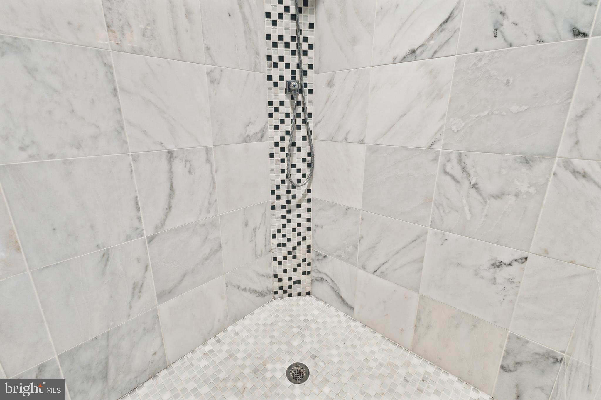 1865 Post Oak Trail Reston, VA 20191 - Photo 23 of 39 Large Shower