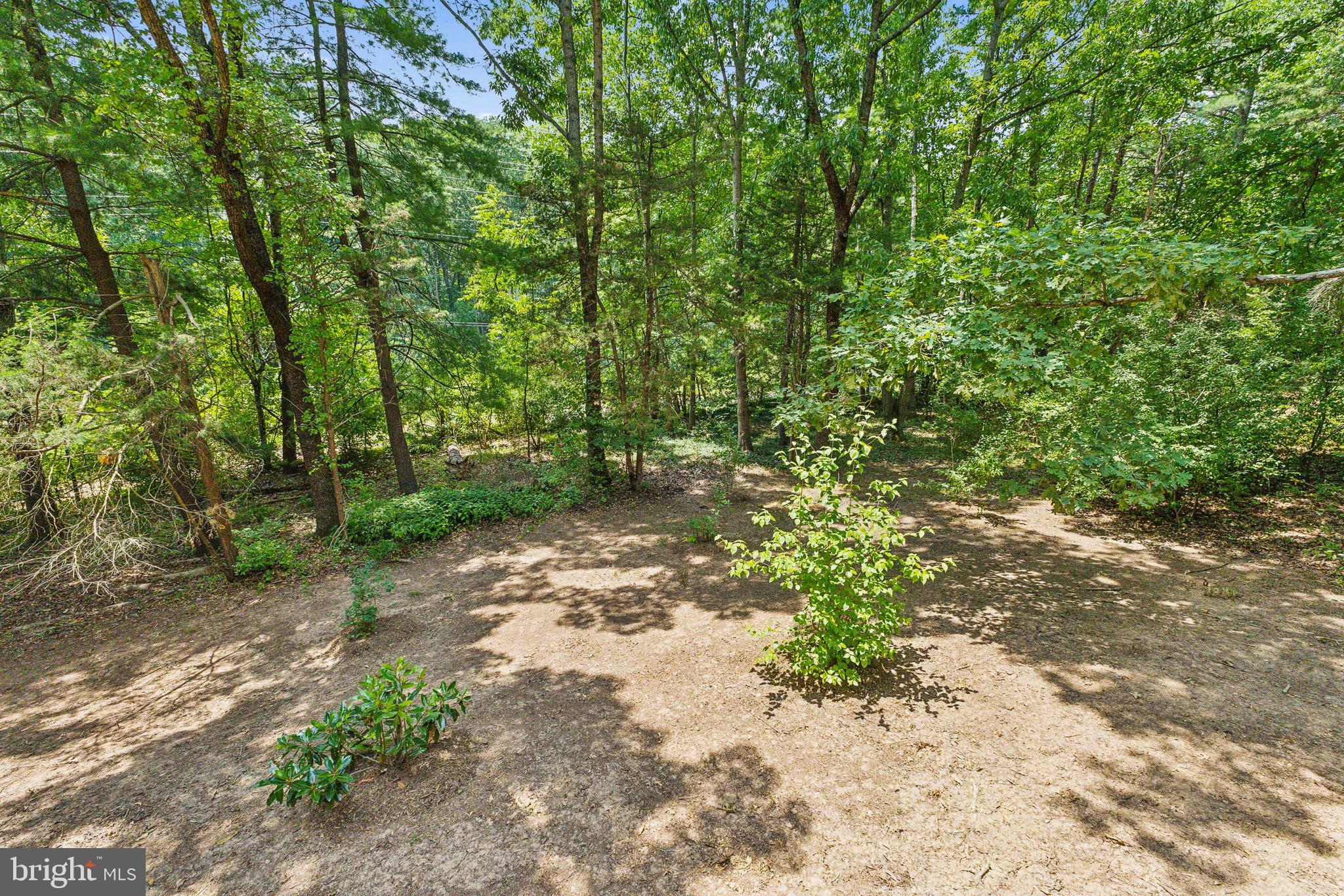 1865 Post Oak Trail Reston, VA 20191 - Photo 37 of 39 Home backs to W &OD trail