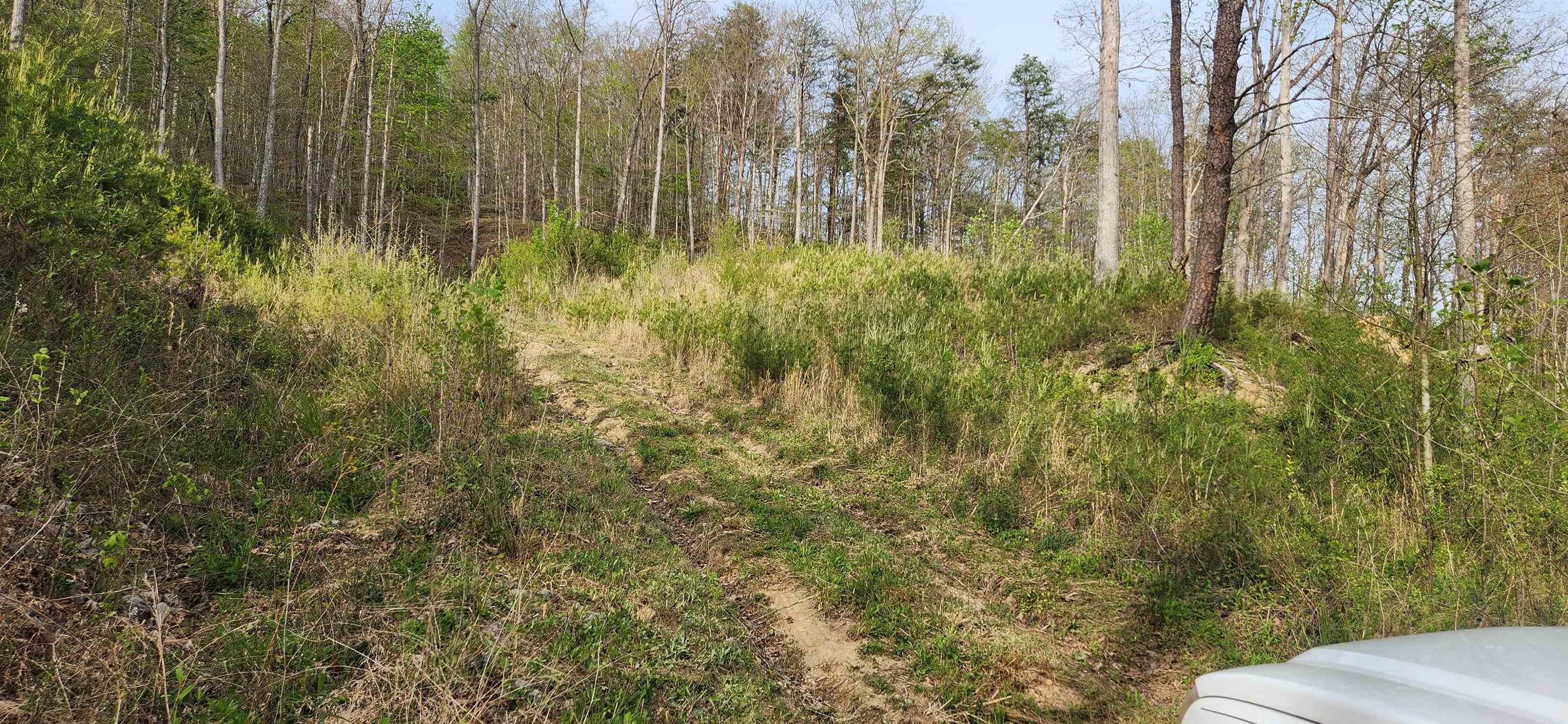 Stinson Creek Road Grayson, KY 41143 - Photo 2 of 14
