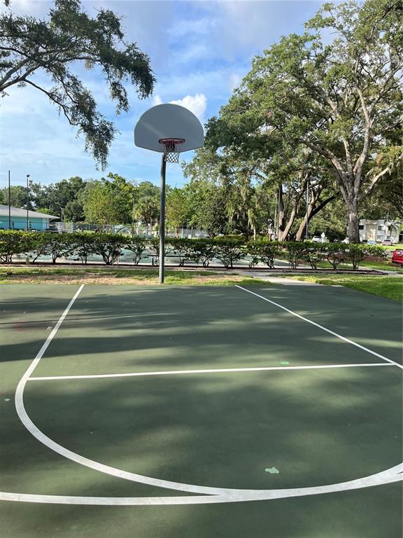3300 Fox Chase Circle, Unit 213 Palm Harbor, FL 34683 - Photo 13 of 16 a view of a tennis court