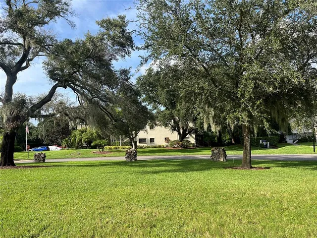 a view of a park with tree s