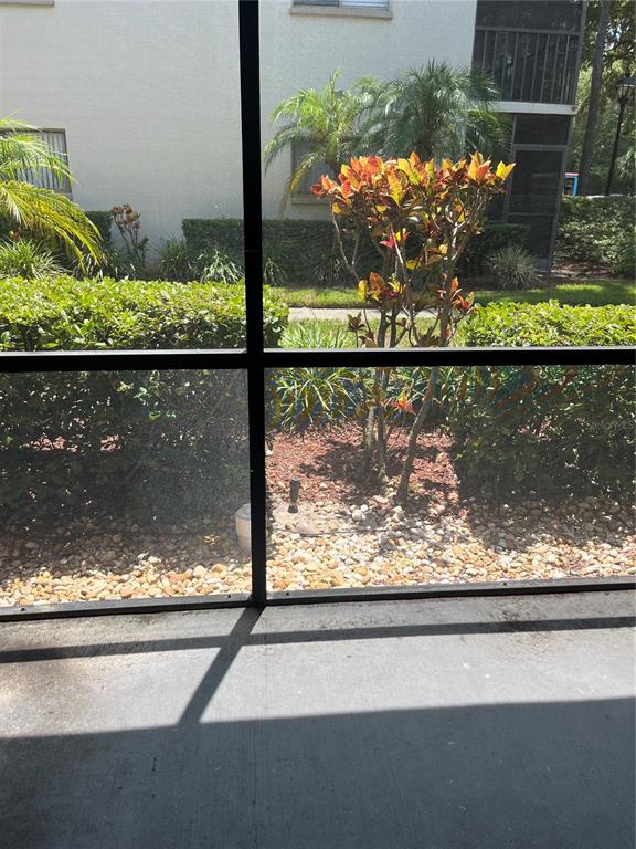 3300 Fox Chase Circle, Unit 213 Palm Harbor, FL 34683 - Photo 9 of 16 a view of swimming pool from a window