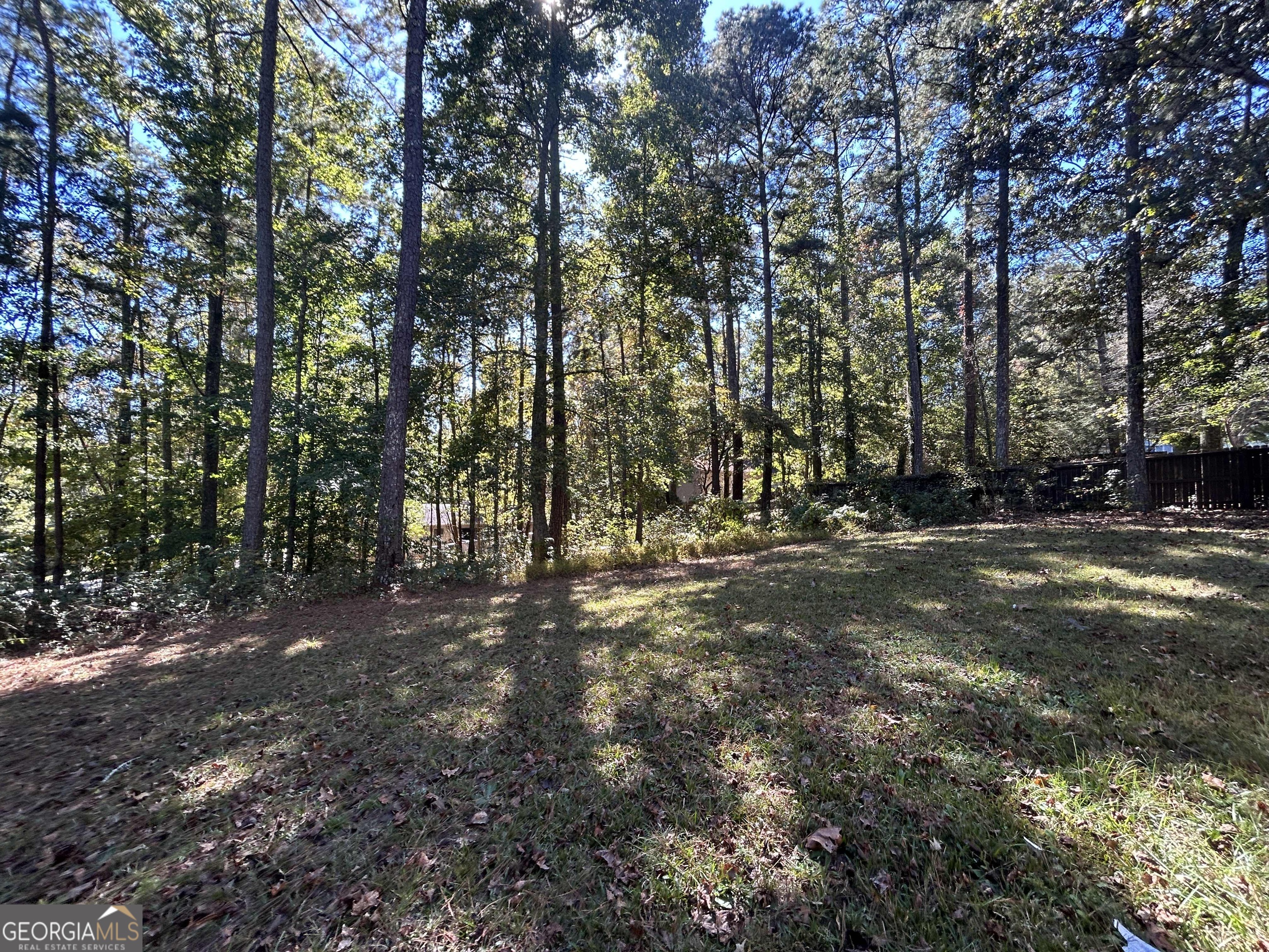 8937 Tweeddale Drive Winston, GA 30187 - Photo 26 of 26 a view of outdoor space with trees