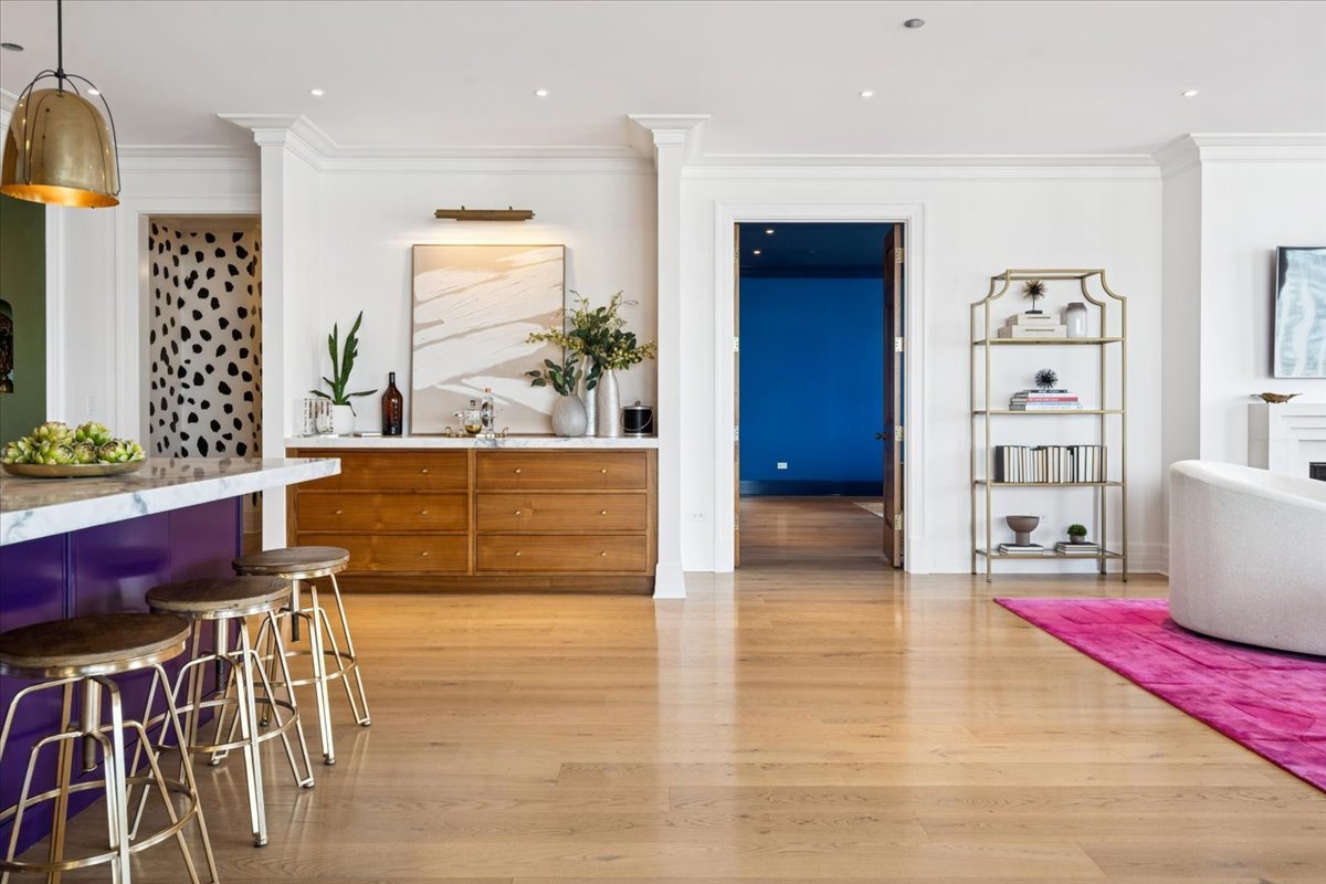 9 West Walton Street, Unit 2202 Chicago, IL 60610 - Photo 11 of 27