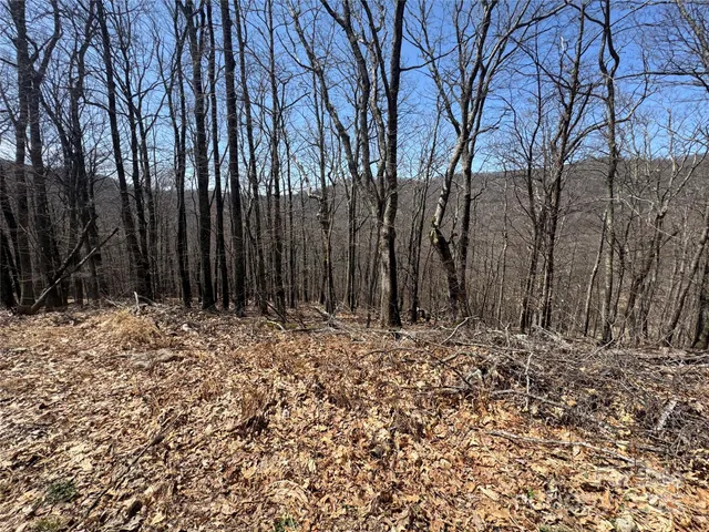 a view of a yard covered with snow
