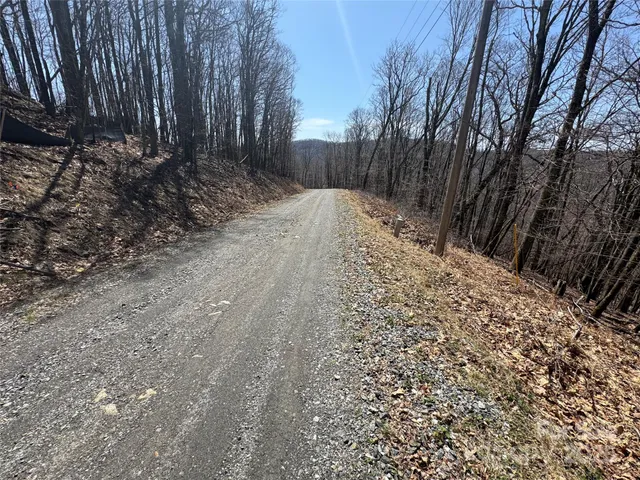 a view of a yard with trees