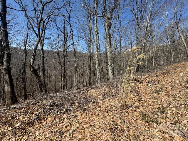 a view of a backyard of the house