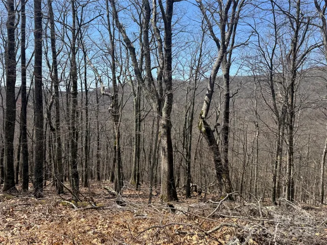 a view of wooden fence