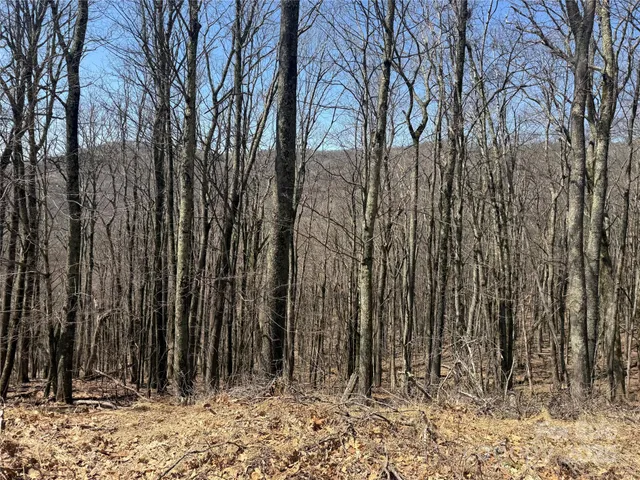 a view of wooden fence