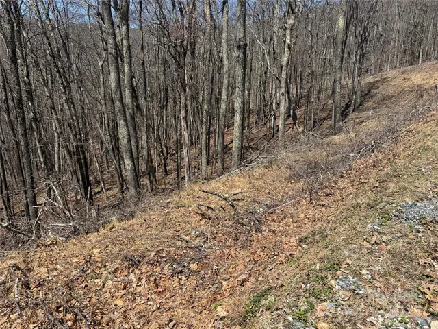 a view of a backyard of the house