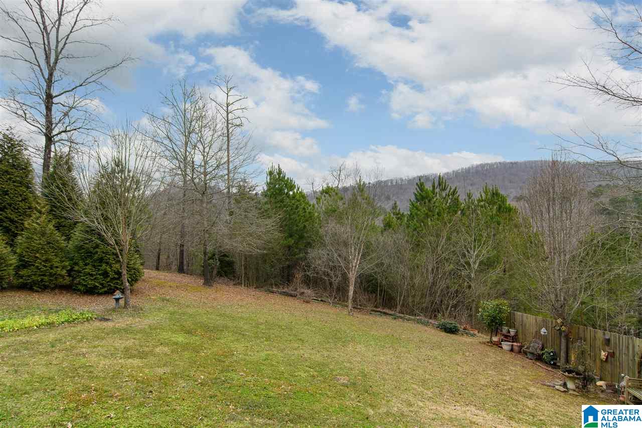 132 Ridgewood Drive Remlap, AL 35133 - Photo 39 of 39