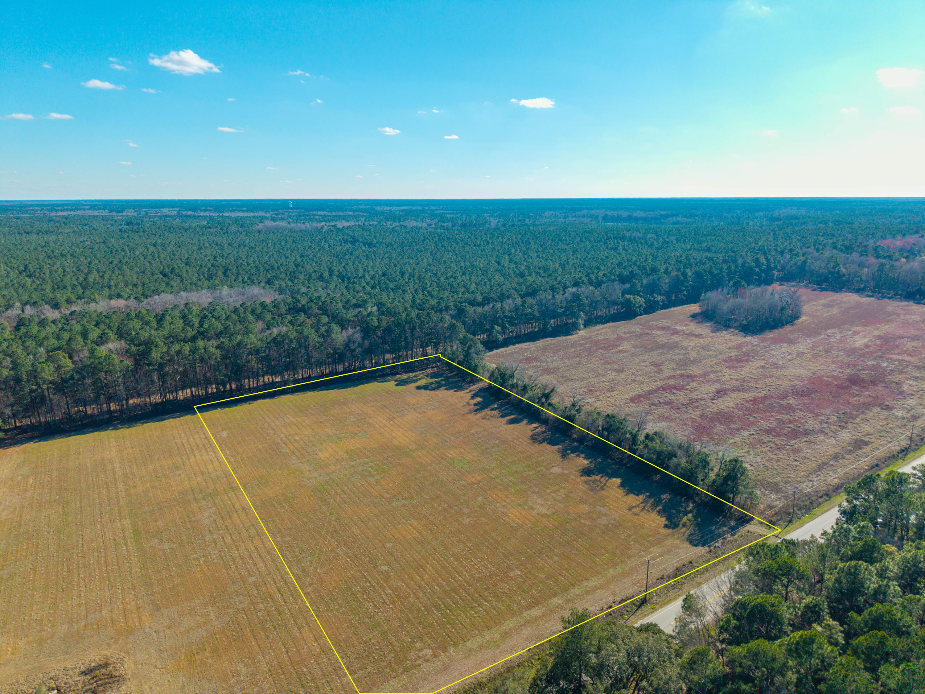417 Ridge Road Ridgeville, SC 29472 - Photo 4 of 11 283D2CA7-C176-4CD8-8A14-D393753B10DB