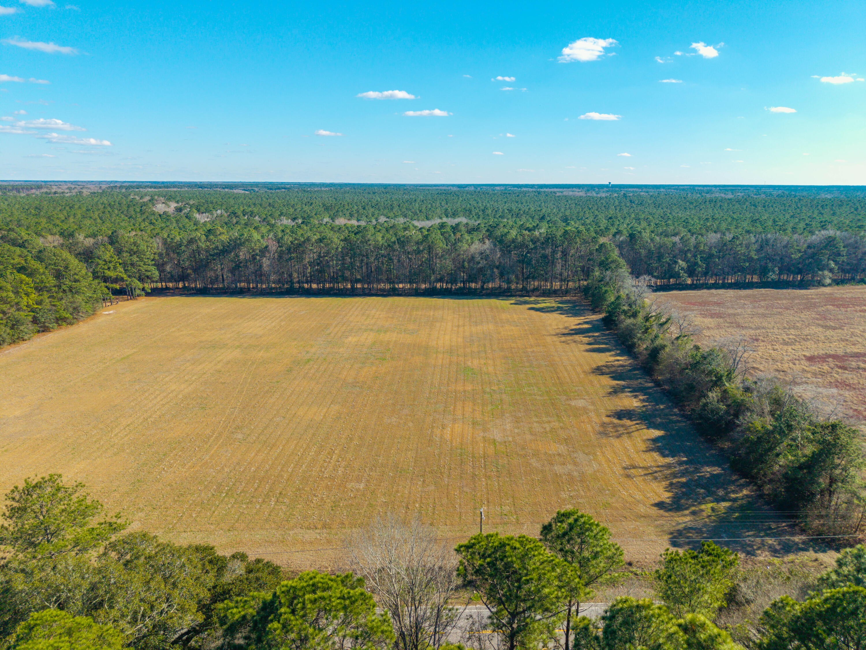 417 Ridge Road Ridgeville, SC 29472 - Photo 6 of 11 272B7120-2DE4-469A-A07A-054EFE80D923