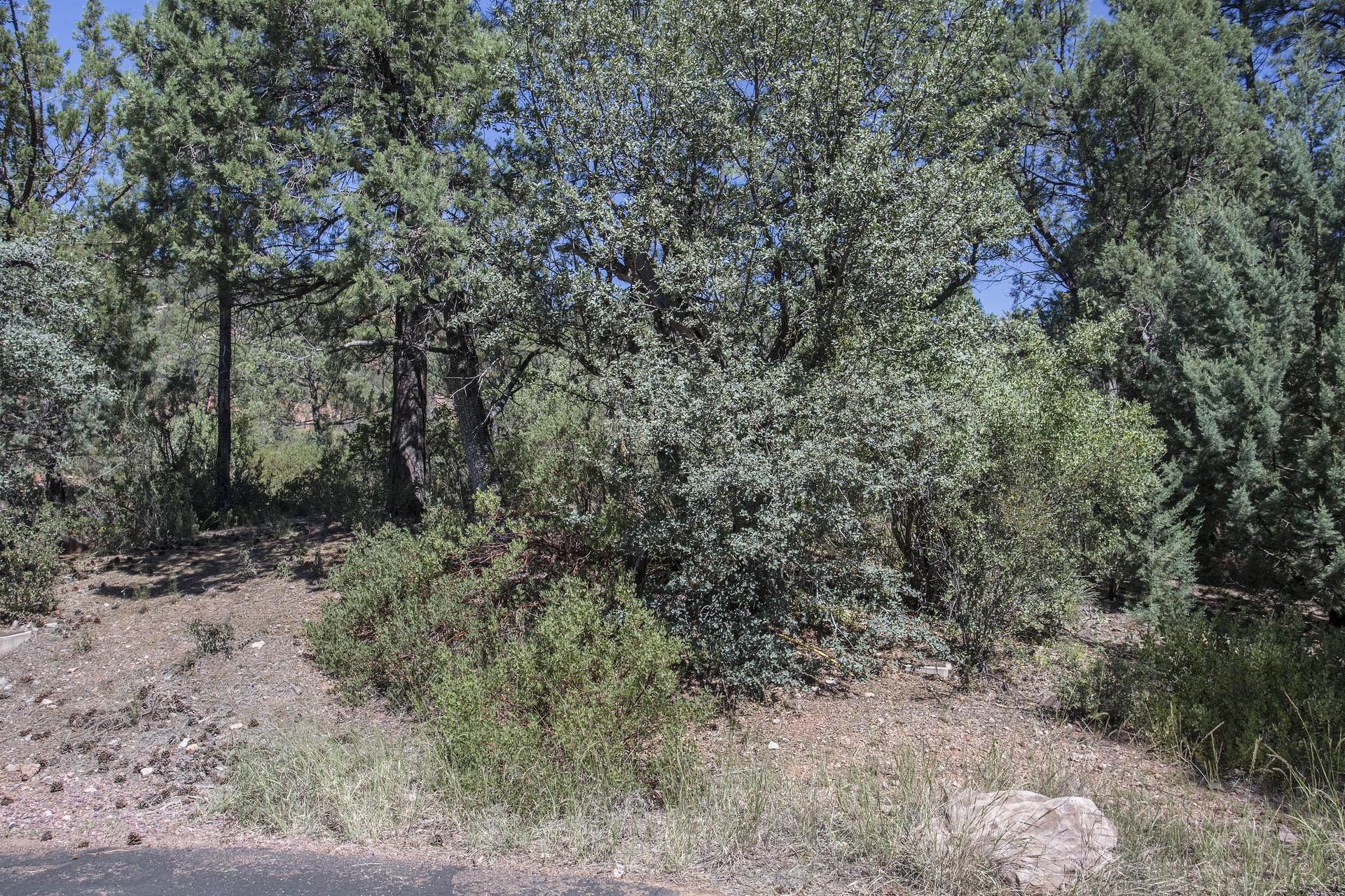 Lot 61 Racoon Ridge Circle Payson, AZ 85541 - Photo 2 of 13
