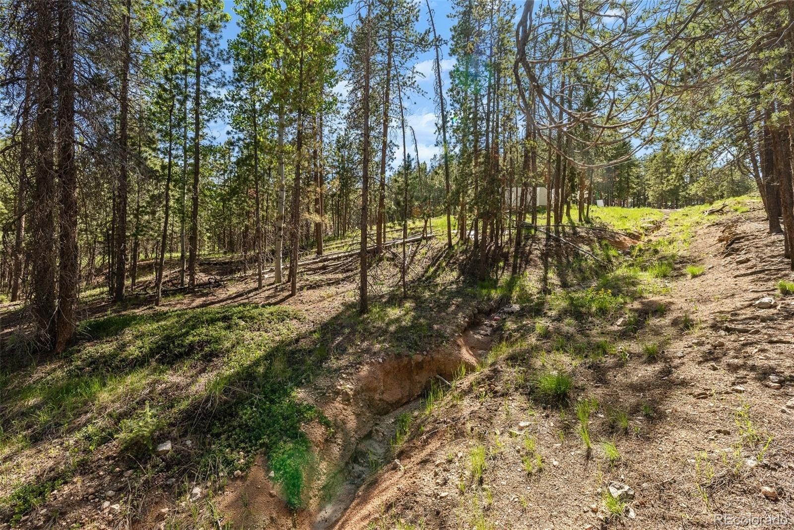 0 South Cedar Road Evergreen, CO 80439 - Photo 11 of 16 Gallery Image 11