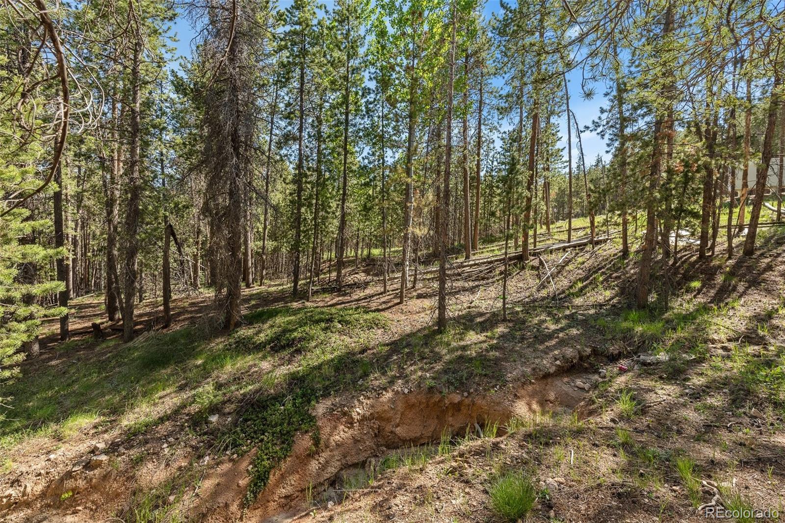 0 South Cedar Road Evergreen, CO 80439 - Photo 12 of 16 Gallery Image 12
