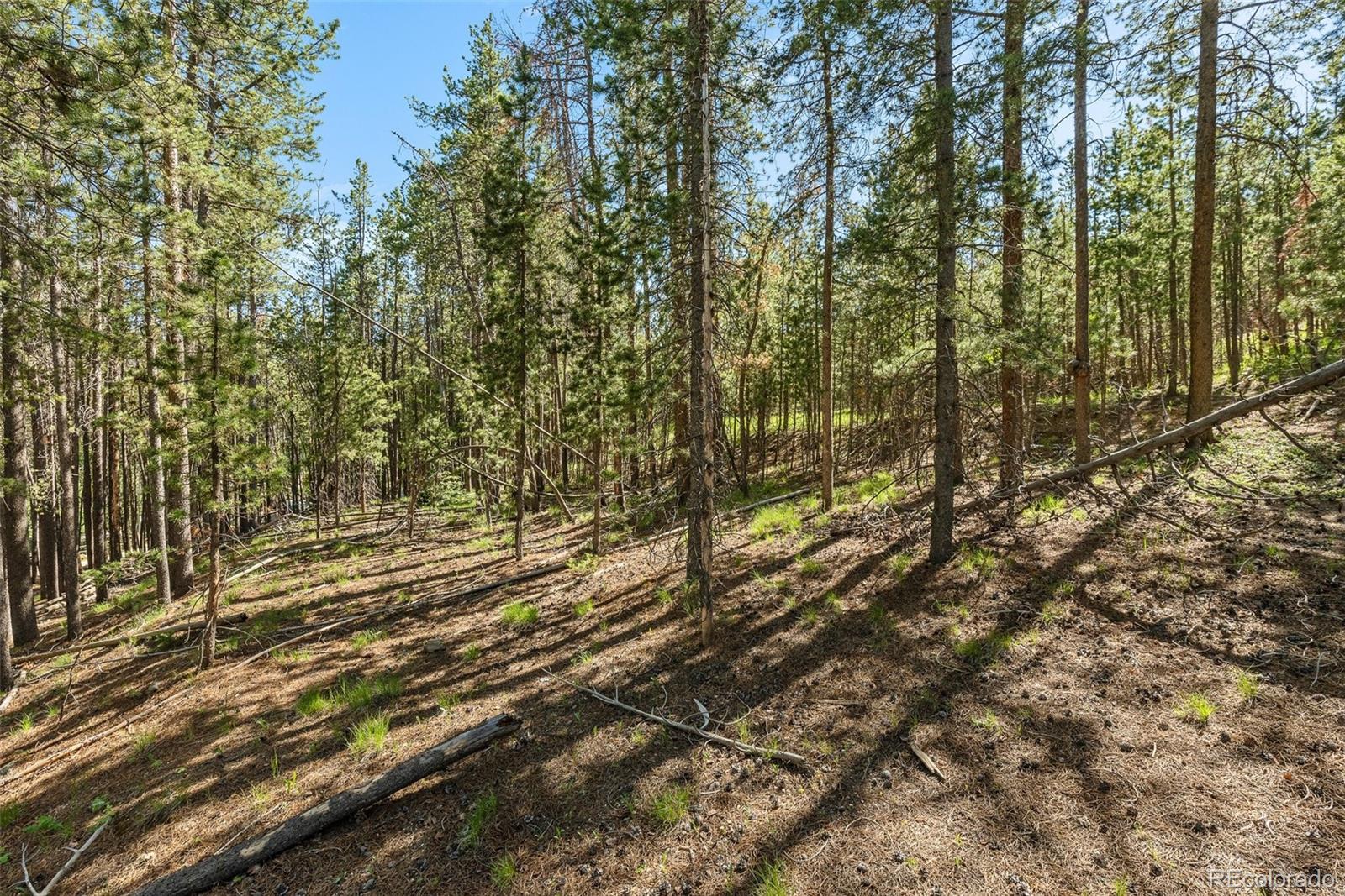 0 South Cedar Road Evergreen, CO 80439 - Photo 13 of 16 Gallery Image 13