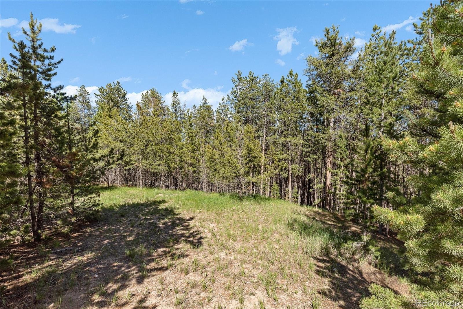 0 South Cedar Road Evergreen, CO 80439 - Photo 7 of 16 Gallery Image 7