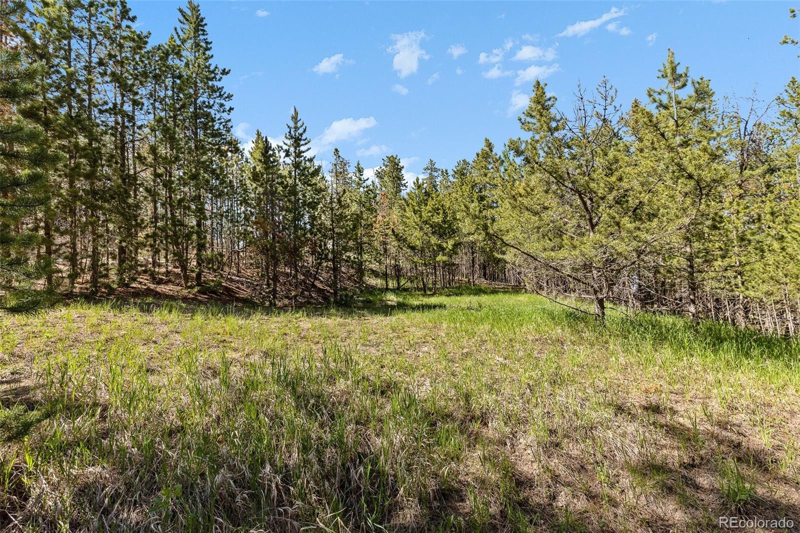 0 South Cedar Road Evergreen, CO 80439 - Photo 8 of 16 Gallery Image 8
