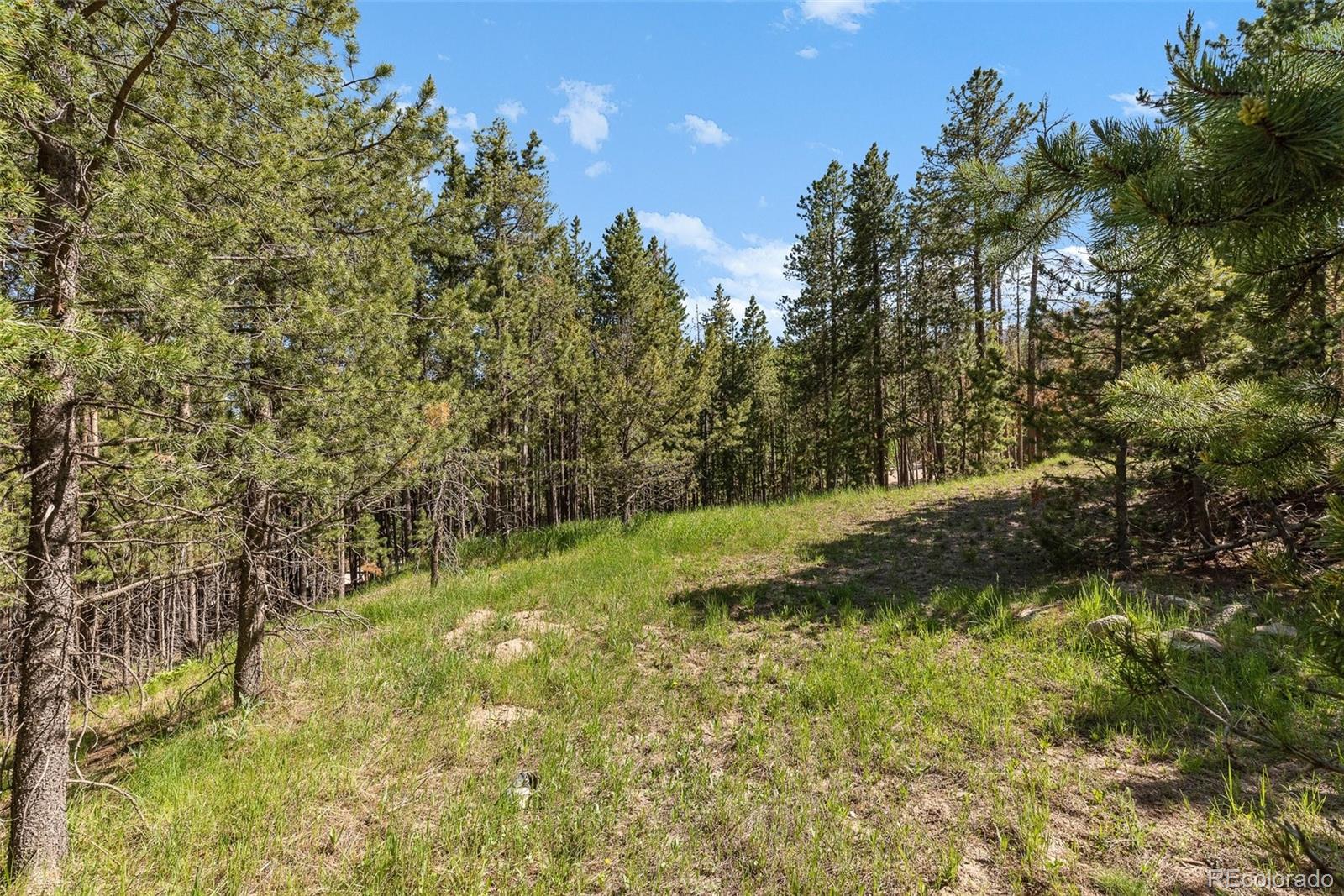 0 South Cedar Road Evergreen, CO 80439 - Photo 9 of 16 Gallery Image 9