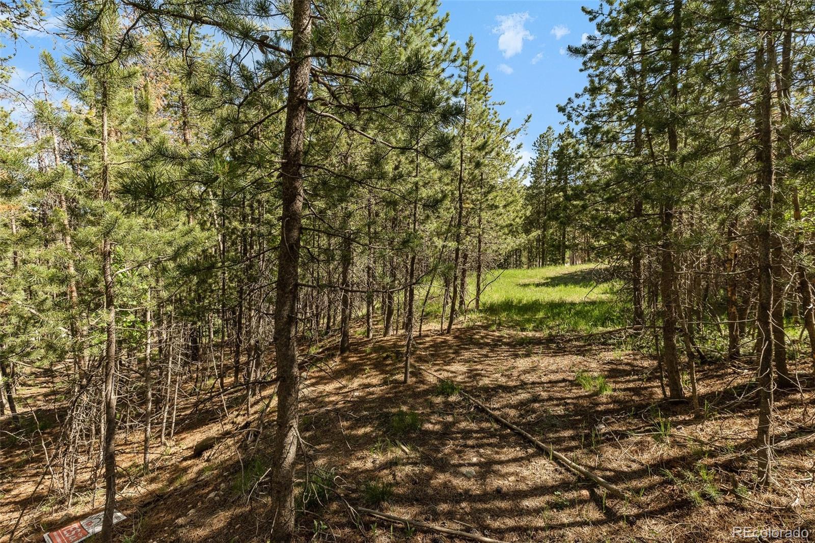 0 South Cedar Road Evergreen, CO 80439 - Photo 10 of 16 Gallery Image 10