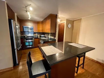 $3,500 | 1221 North Dearborn Street, Unit 804S, Chicago, IL 60610