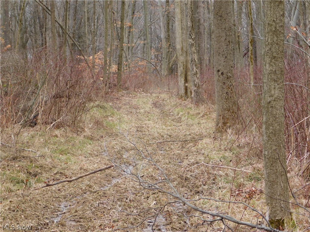 302 Hamilton Road Bellville, OH 44813 - Photo 14 of 21 Gallery Image 14