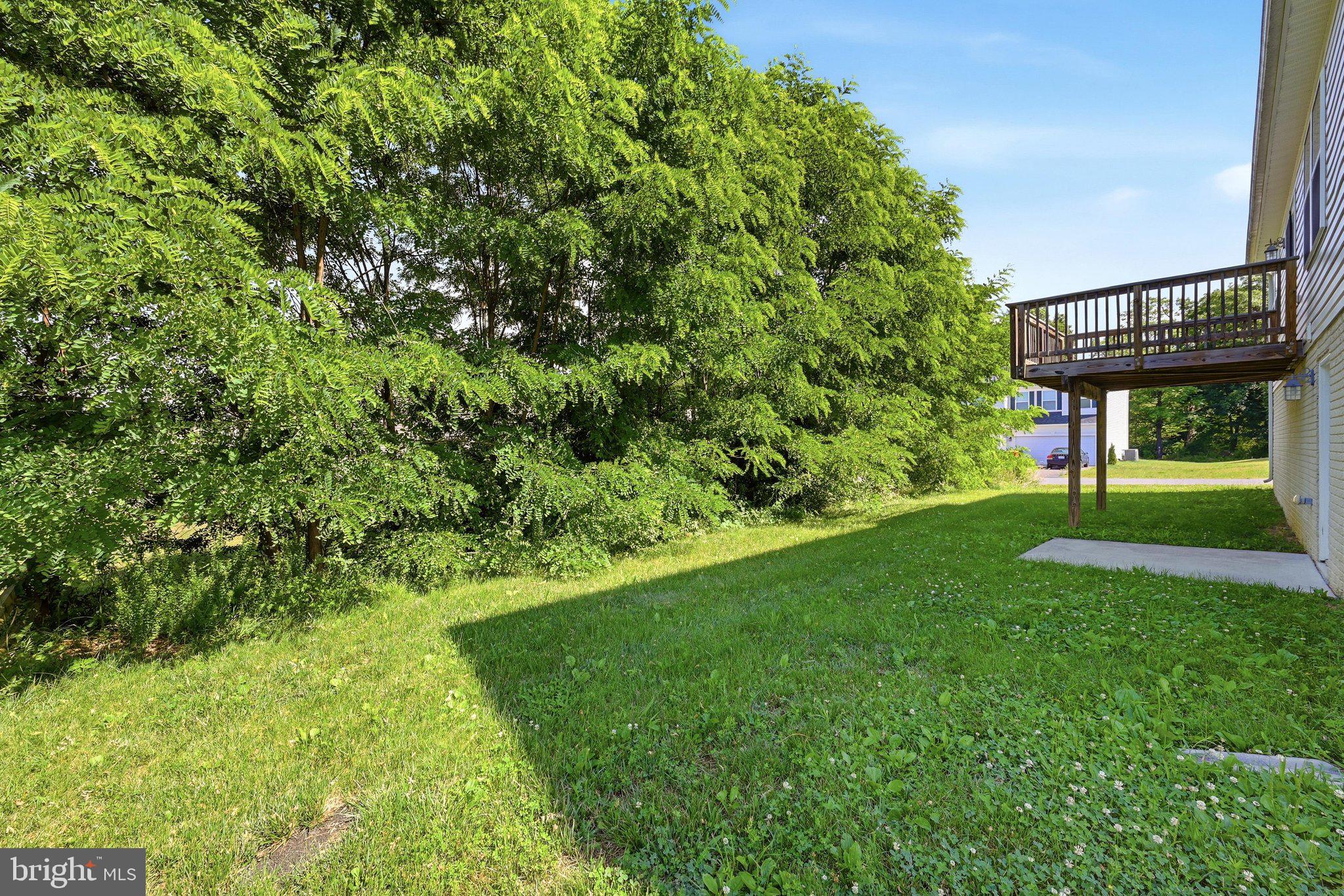 179 Reprisal Road Inwood, WV 25428 - Photo 43 of 48 Backyard