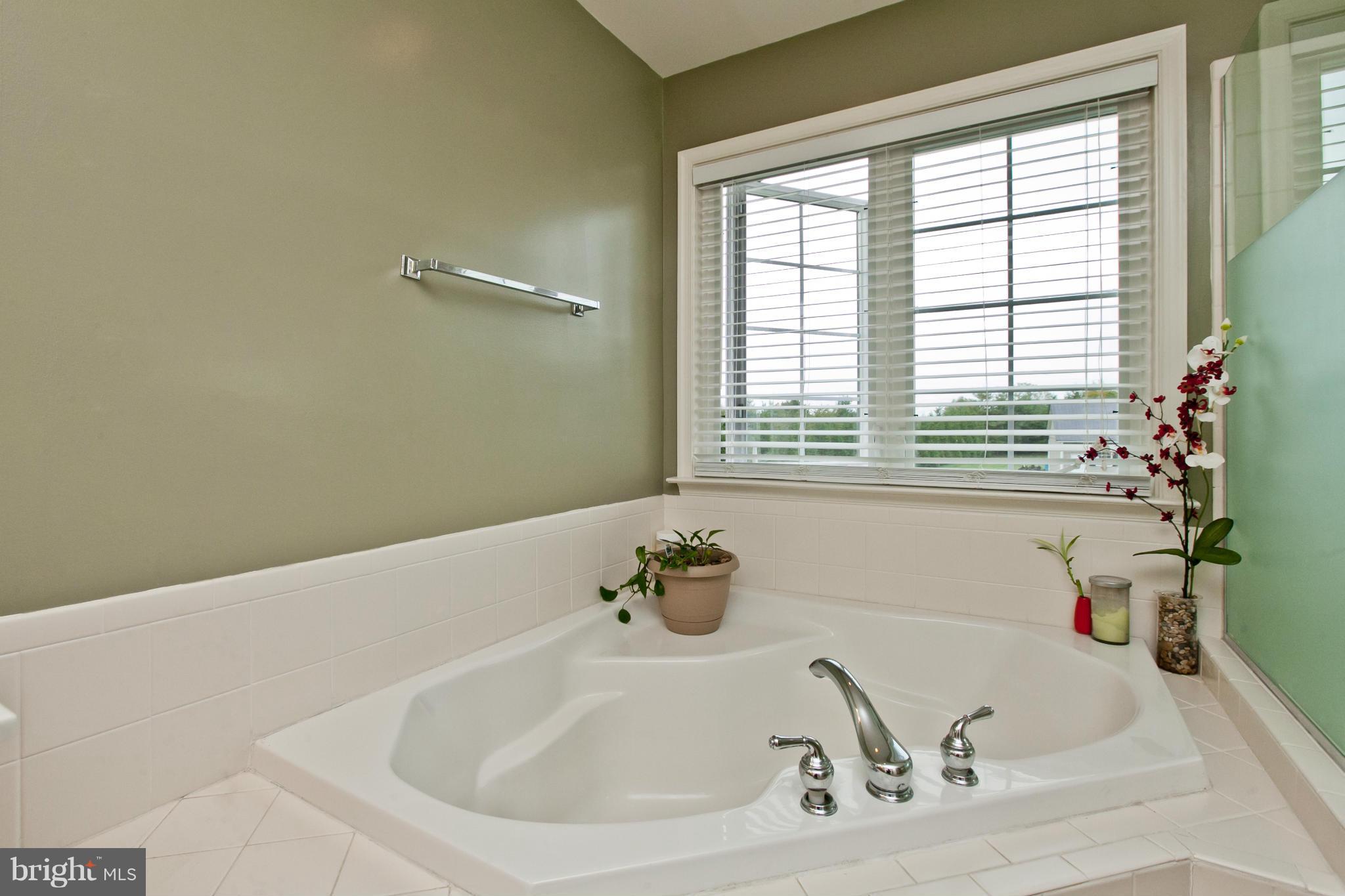 19 Crum Road Walkersville, MD 21793 - Photo 21 of 30 Bath (Master)