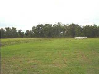 531 Link Road Branch, LA 70516 - Photo 3 of 6 Additional Photo