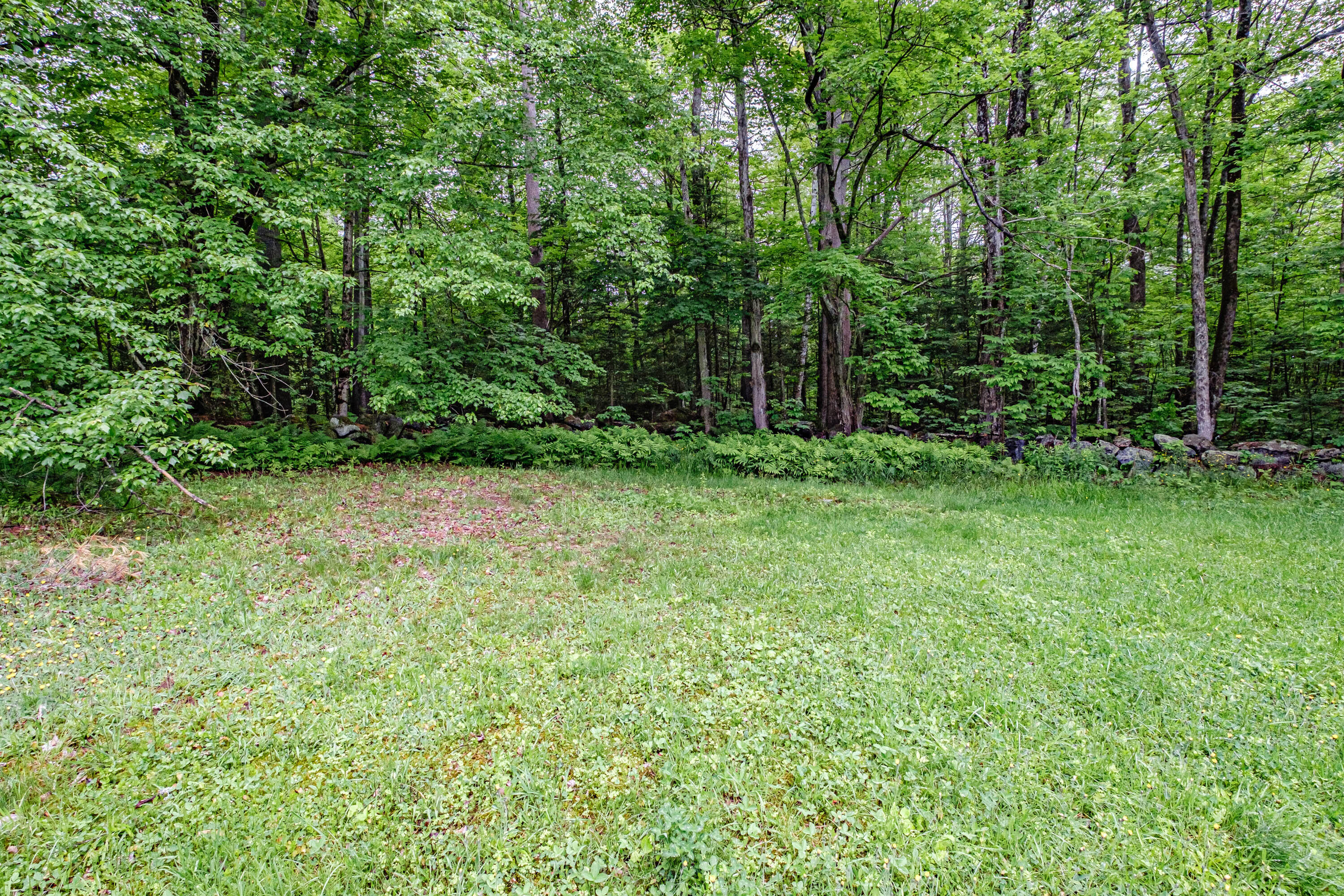 23 Songo Pond Road Bethel, ME 04217 - Photo 60 of 64 20230609gp-60068